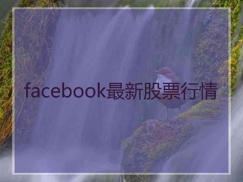 facebook最新股票行情