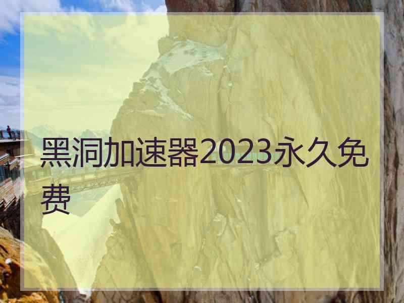 黑洞加速器2023永久免费