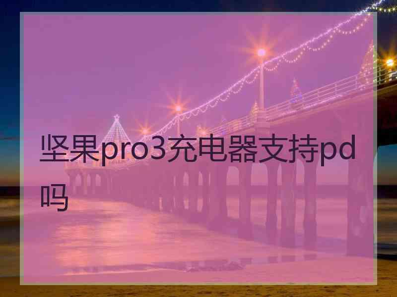 坚果pro3充电器支持pd吗