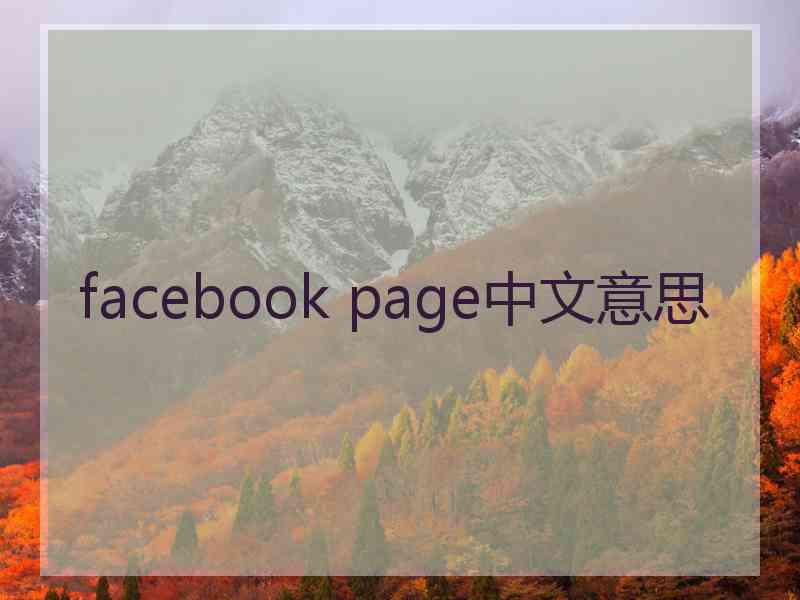 facebook page中文意思