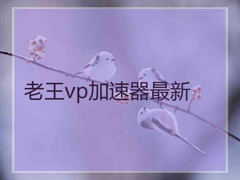 老王vp加速器最新