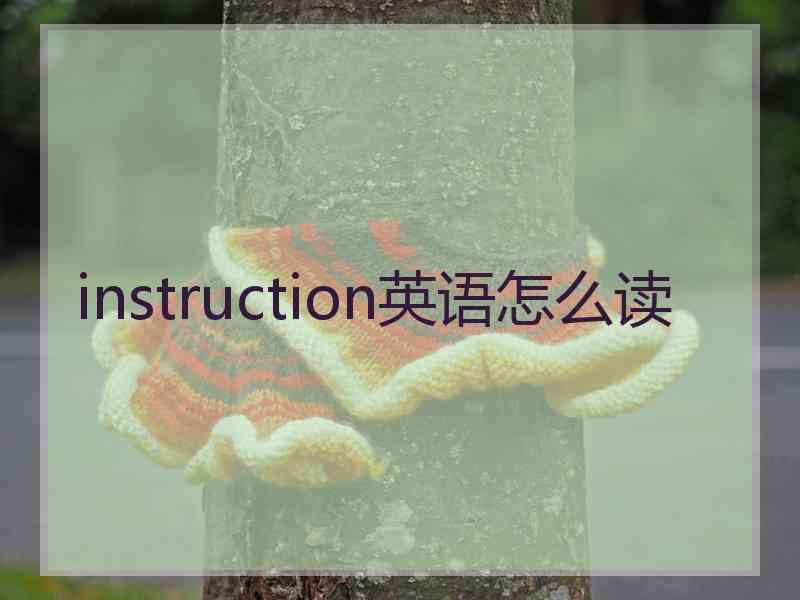 instruction英语怎么读