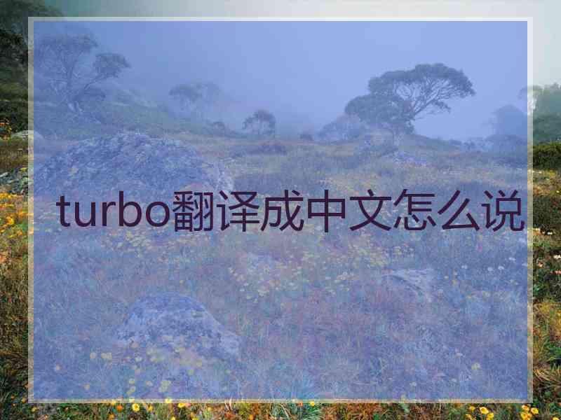 turbo翻译成中文怎么说