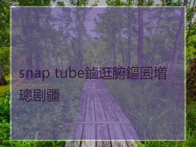 snap tube鏀逛腑鏂囩増璁剧疆