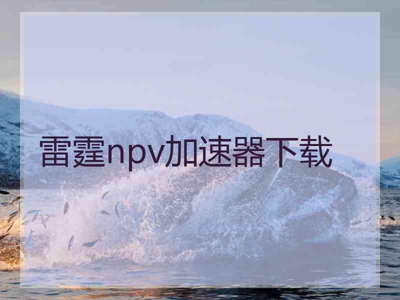 雷霆npv加速器下载