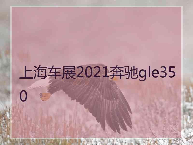 上海车展2021奔驰gle350