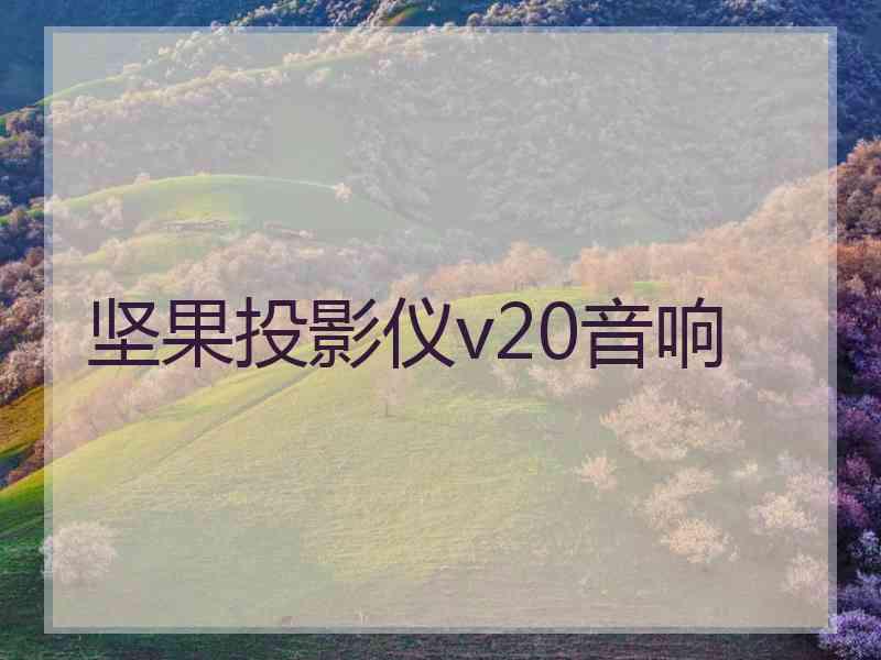 坚果投影仪v20音响