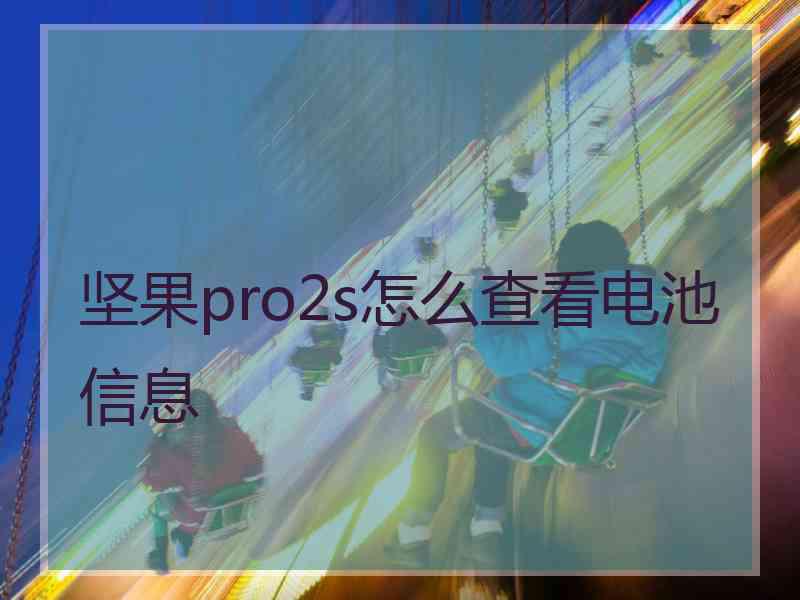 坚果pro2s怎么查看电池信息