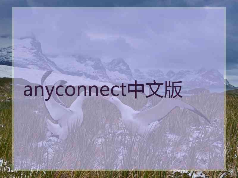 anyconnect中文版