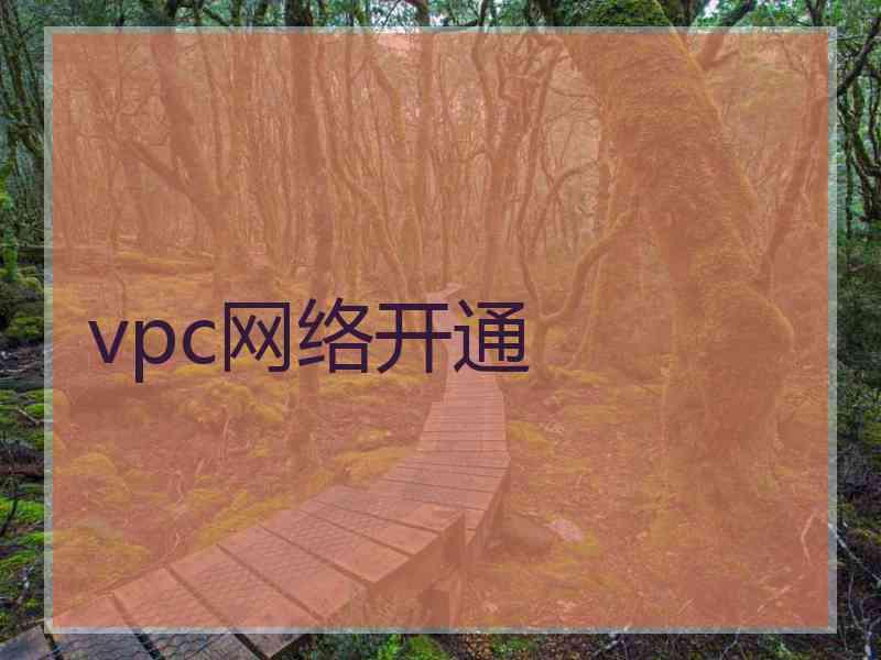 vpc网络开通